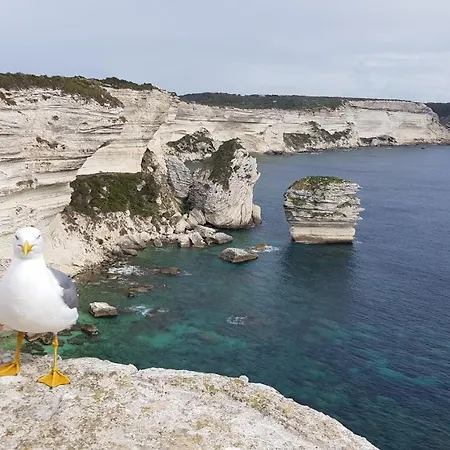 Acqua Doria Semesterbostad Coti-Chiavari (Corsica)