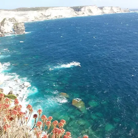 Acqua Doria Coti-Chiavari (Corsica)