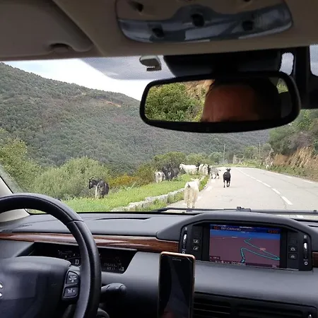 Acqua Doria Casa vacanze Coti-Chiavari (Corsica)