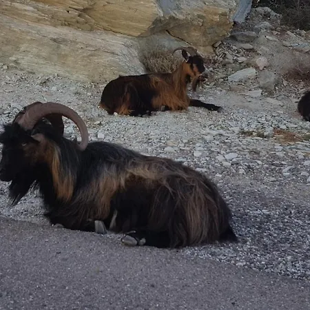 Casa vacanze Acqua Doria