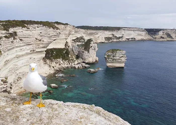 Acqua Doria Vakantiehuis Coti-Chiavari (Corsica)