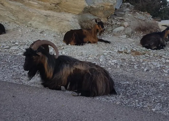 Vakantiehuis Acqua Doria